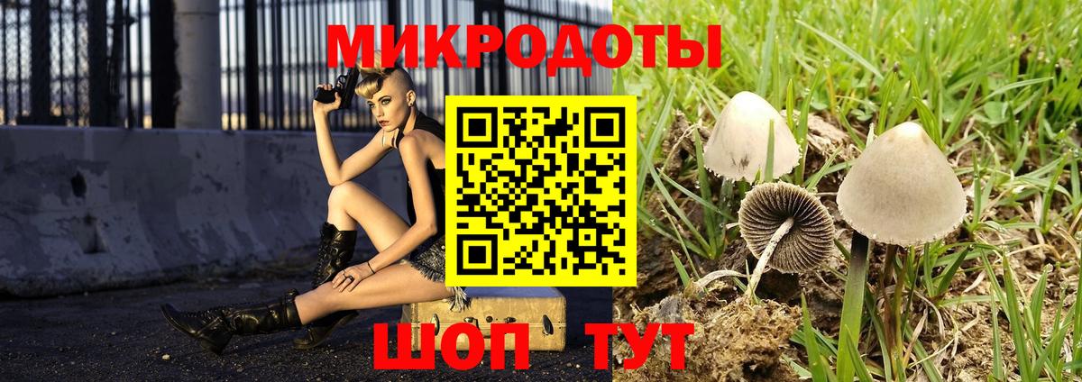 Армавир  дарнет шоп  Вход с VPN  Галлюциногенные грибы мицелий  Псилоцибиновые грибы Psilocybe 